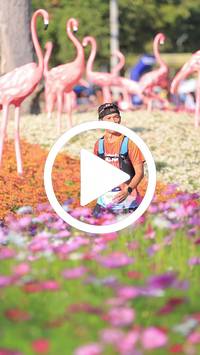 BIB:  <button type="button" onclick="openModal(27588531)" class="btn btn-primary btn-sm float-right" data-toggle="modal" data-target=".modal-high-quality">
                <i class="fa fa-download"></i> Download
                </button>